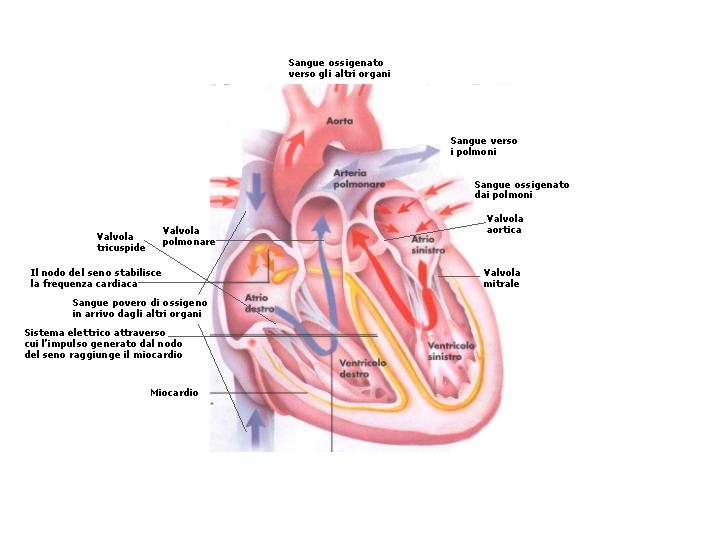 Per ogni ricciolo un amante - Il cuore inquieto di Messalina